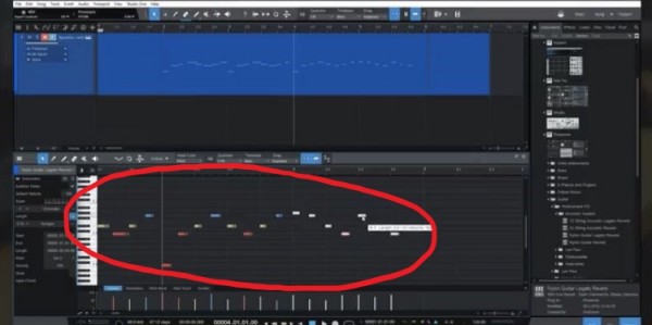 I want to change the color for each pitch of MIDI NOTE as shown below. -  Questions & Answers | PreSonus